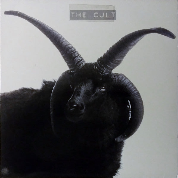 The Cult Port of Sound Records