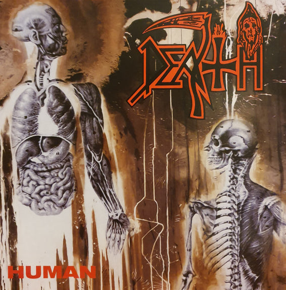 Human