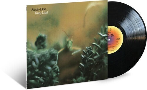 Katy Lied