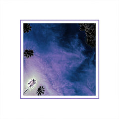 Look Outside Your Window