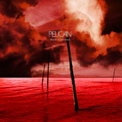 What We All Come To Need & Ephemeral